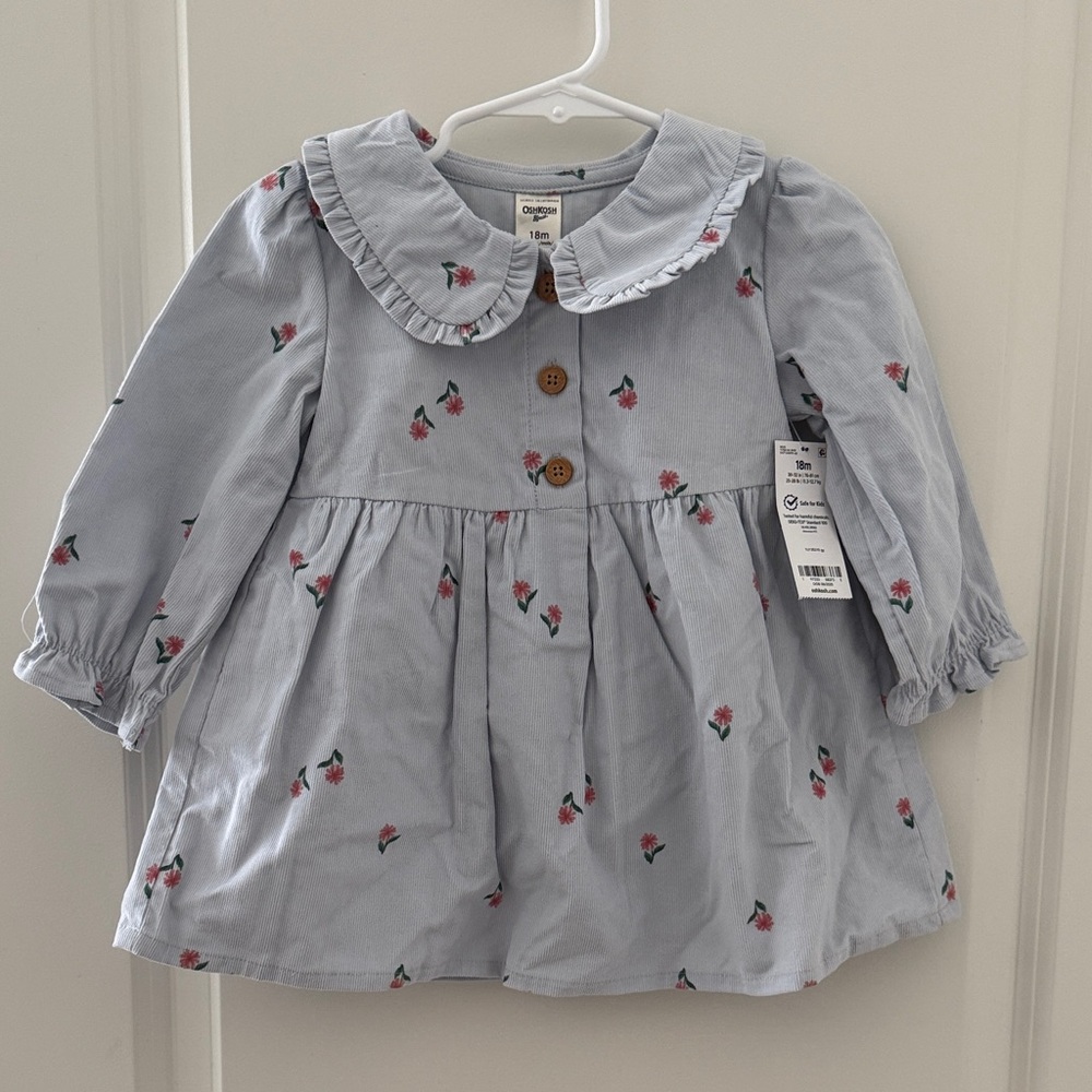Carter's Light Blue Dress with Floral Embroidery